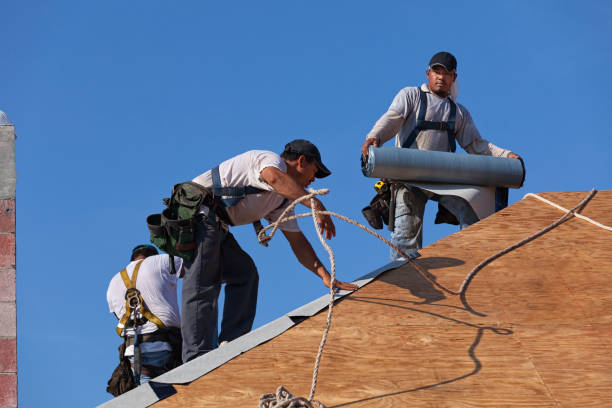 Best Flat Roof Repair Services  in South Creek, WA